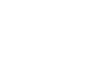 birn logo